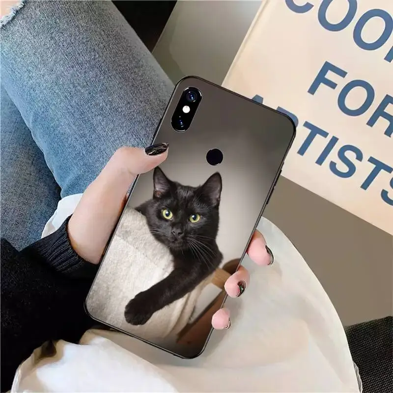 

Staring Eye On Black Cat lovely animal Phone Case For Xiaomi Redmi note 7 8 9 t max3 s 10 pro lite coque funda shell cover