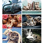 VA-1683 Diy Рисование по номерам Рождественская черная кошка красочная DIY Zero Базовая легко рисовать по номерам холст для детей и взрослых подарок