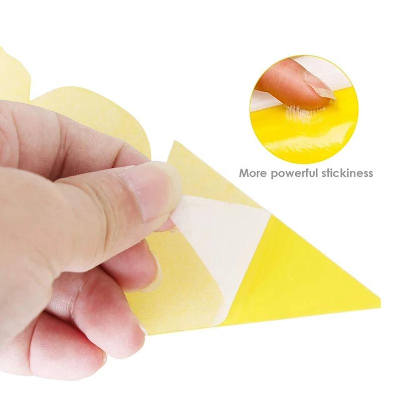60 шт. двухсторонний желтый фруктовый мух липкий Ловушки для борьбы с вредителями