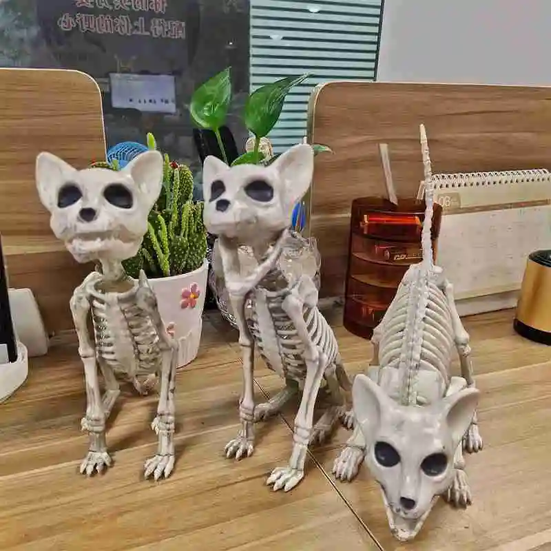 

Animal Skeleton Cat Dog Mouse Skeleton Model