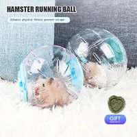 pet golden bear running ball transparent crystal hot wheels hamster health sports rolling ball pet toy supplies