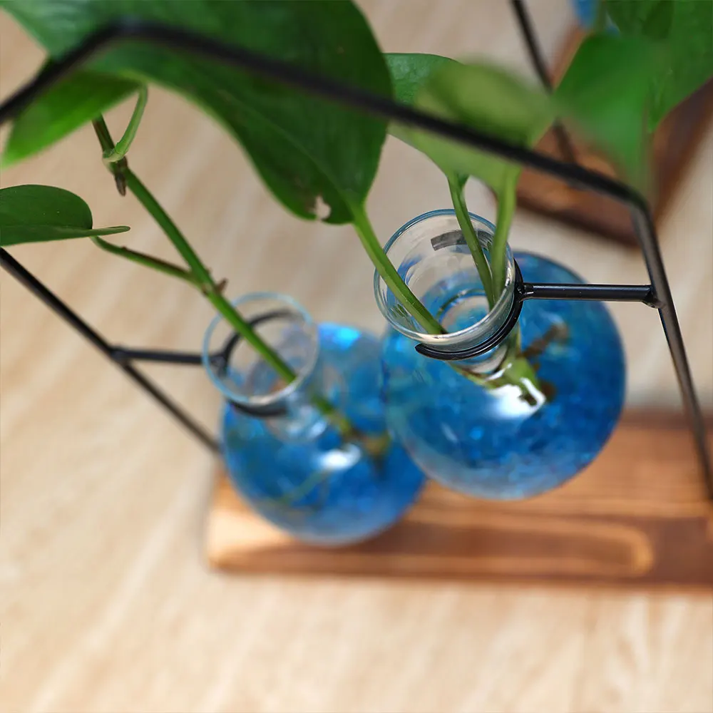 

Hydroponic Vase Black Frame Transparent Glass Office Desktop Decoration Beautiful Flower Arrangement Water Vase Shape Vase