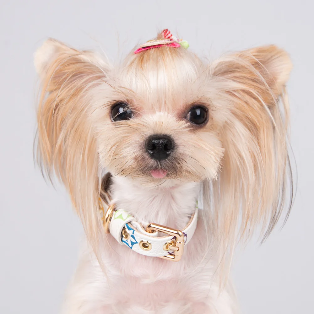 Conjunto de Correa y Collar para perro, accesorios de dise&ntilde;o para Bulldog Franc&eacute;s, Schnauzer Corgi, Chihuahua, Gato de cuero-2