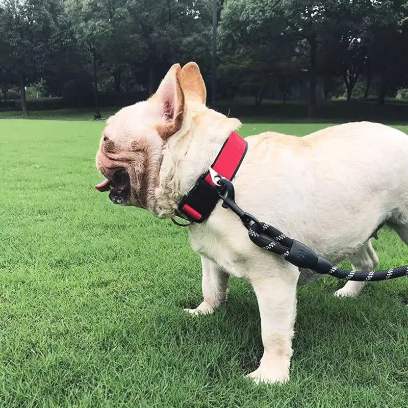 Французский бульдог регулируемый ошейник поводок для маленьких средних и
