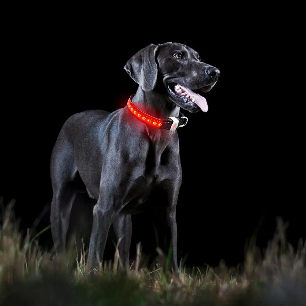 Светодиодный ошейник для собак с USB-зарядкой ночное освещение прогулка Хэллоуин
