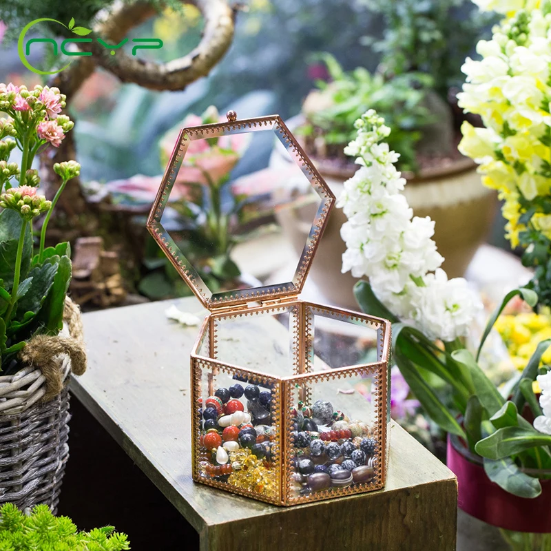 NCYP Европейский стиль стеклянный цветочный горшок розовое золото Террариум