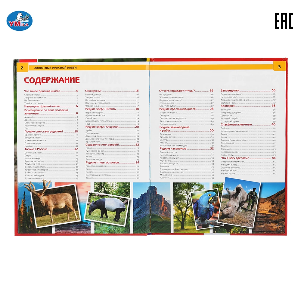 Энциклопедия Умка Животные красной книги (с развивающими заданиями) твердый