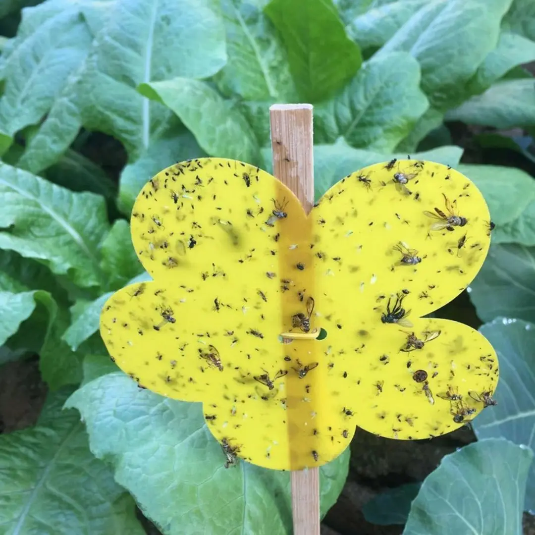 

5pcs Strong Flies Sticky Traps Two-side Yellow Insects Pest Killer Aphids Wasp Trap Catcher Outdoor Garden Plant Protect Tool