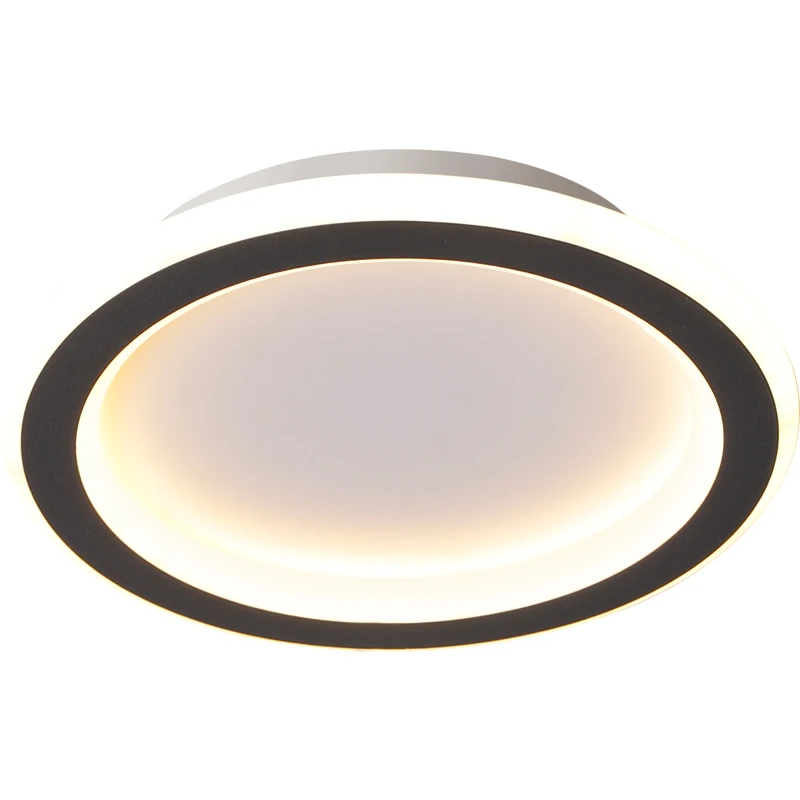

Corridor Lamp Led Ceiling Lights For Home Entrance Balcony APP DimmableWith Remote Control Plafond Lighting Luminaria Lustre