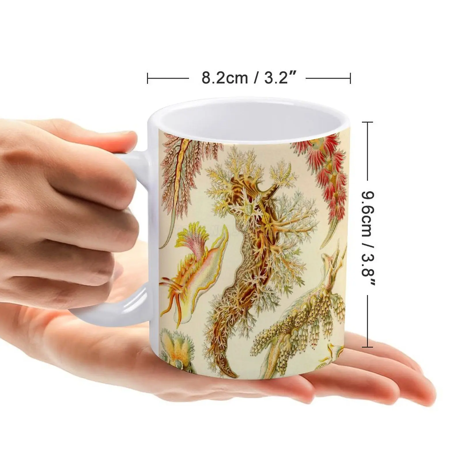 Белая кружка с морскими сливами-Эрнст Haeckel новинка принтом хорошего качества
