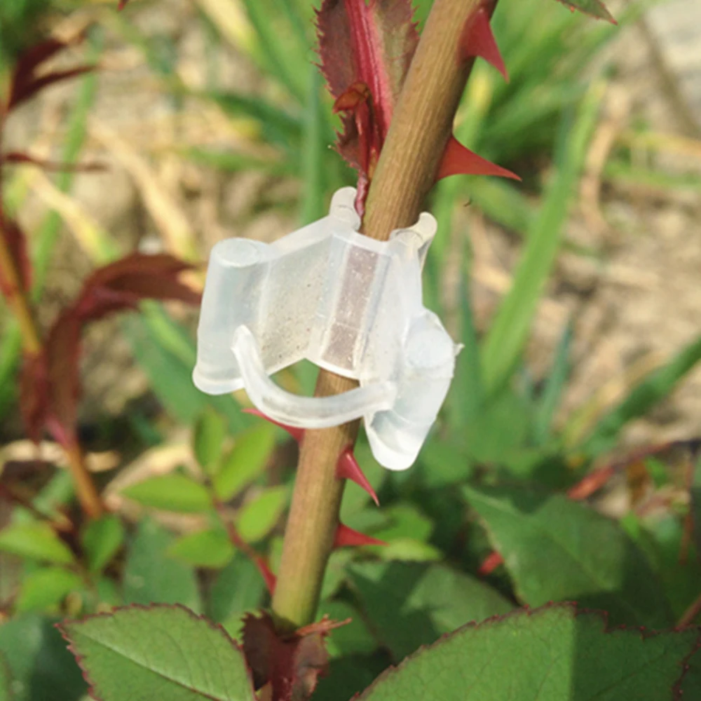 100 шт./упак. мини прозрачный Пластик зажимы для трансплантата подвязки томатов