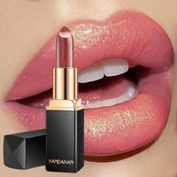 new professional lips makeup shimmer long lasting pigment nude pink mermaid shimmer waterproof lipstick luxury makeup cosmetic