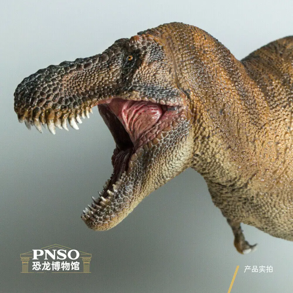 

PNSO 1/35 Wilson Tyrannosaurus Rex Figure T-Rex Tyrannosauridae Dinosaur Collector Animal Adult Kids Toy Christmas Birthday Gift