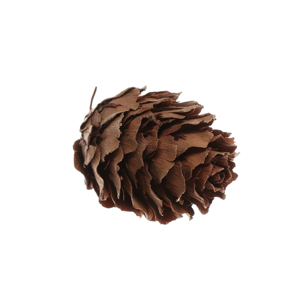 20 искусственных сосновых конусов желудь искусственный цветок крест фрукты