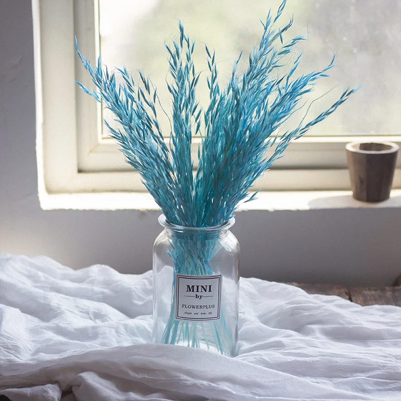 

Wheat Flower Bouquet Real Dried Natural Plant Oats Eternal Of For Home Room Table Decor Wedding Party Pampas Grass Decoration