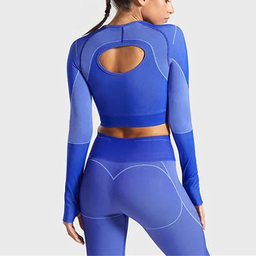 Комплект из 2 предметов Женский бесшовный спортивный костюм Омбре одежда для