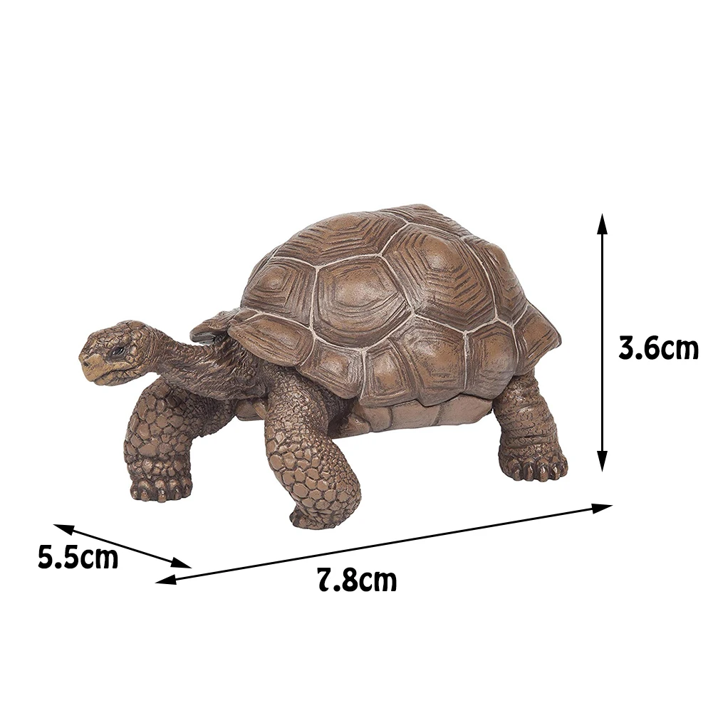 

3inch Galapagos Tortoise Turtle Model Figure Animal Toy Simulation Mini Animal Model Desktop Decoration Collection Decor Toys