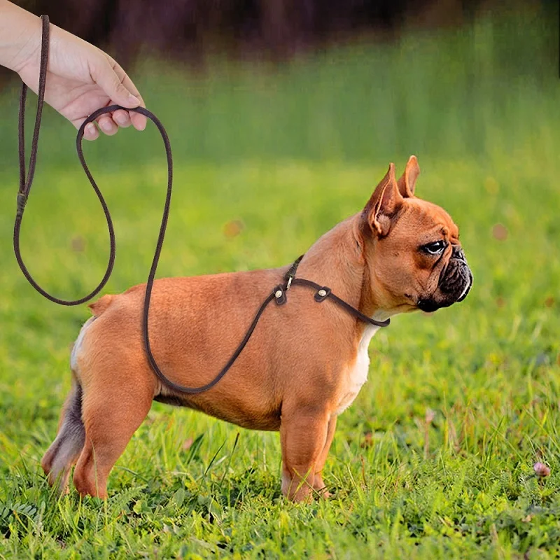 

Dog Necklace Dog Traction Rope For Small Medium Dogs Dog Leash Outdoor Training Collar Lightweight And Easy To Carry Pet Leash