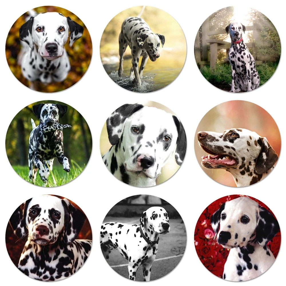Значки для значков чёрно-белых Далматинских собак 58 мм значки украшения броши