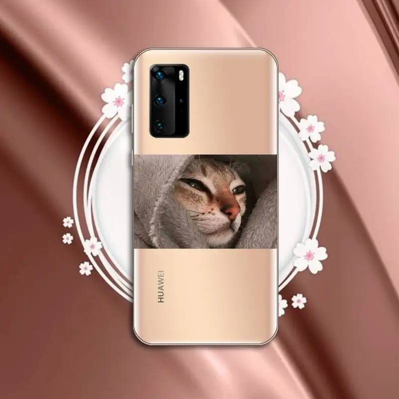 

cat dog Cute animal luxury mobile cover Phone Case Transparent for Huawei P honor 8 10i 20 30 40 smart 2019