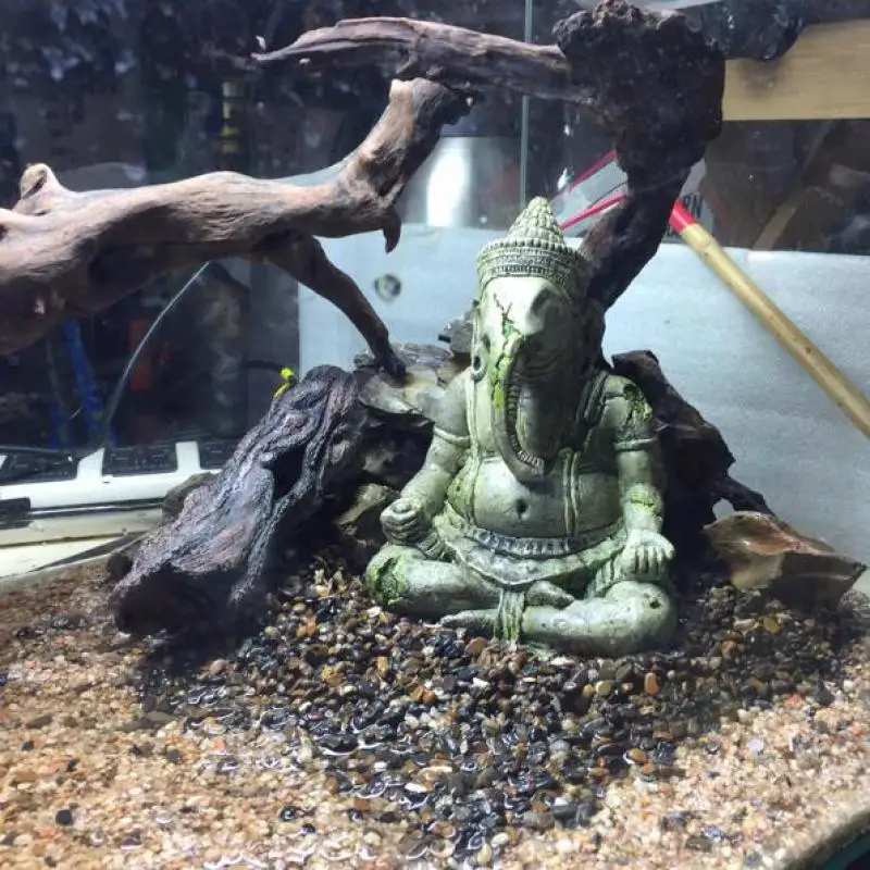 Искусственная голова слона украшение с изображением Будды аквариум Статуэтка