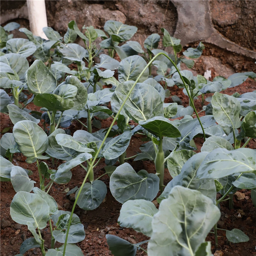 6 шт. прочные металлические садовые стойки стальная трубка с пластиковым