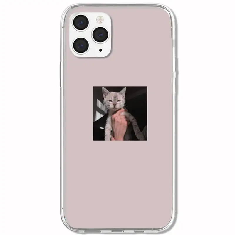 

Little Cat facial Looks Phone Case For Clear&P Iphone 5s Se 6 6s 7 8 11 12 X Xs Pro Plus Mini Max Fundas Cover