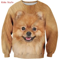 pomeranian kids sweatshirt 3d printed hoodies pullover boy for girl long sleeve shirts kids funny animal sweatshirt