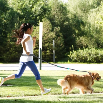 Retractable Hands-Free Dog Leash 6