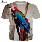 Футболка женскаямужская оверсайз, Модный свитшот с 3D-принтом в виде цветных попугаев для пар, Повседневная Уличная одежда