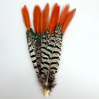 natural lady amherst pheasant feathers for crafts 5 30cm2 12 feathers for jewelry making wedding feathers decoration plumas