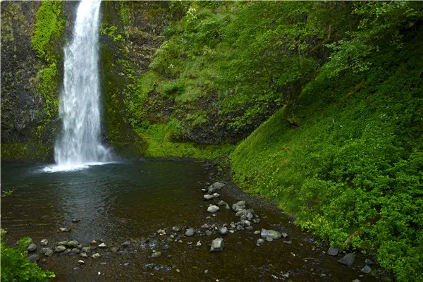 

SHENGYONGBAO Vinyl Custom Photography Backdrops Props Photo Studio Waterfall theme Background 20228-05