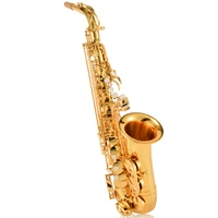 54 quality france new golden saxophone e flat alto saxophone super playing musical instruments mouthpiece gift with case