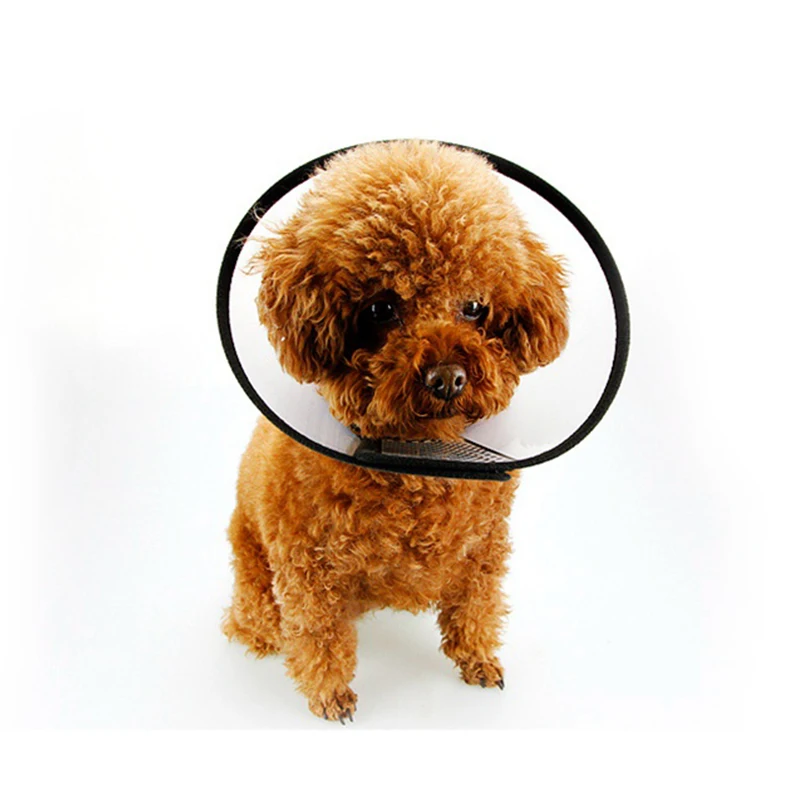 Медицинский защитный кольцевой ошейник для животных инструмент лечения кошек и