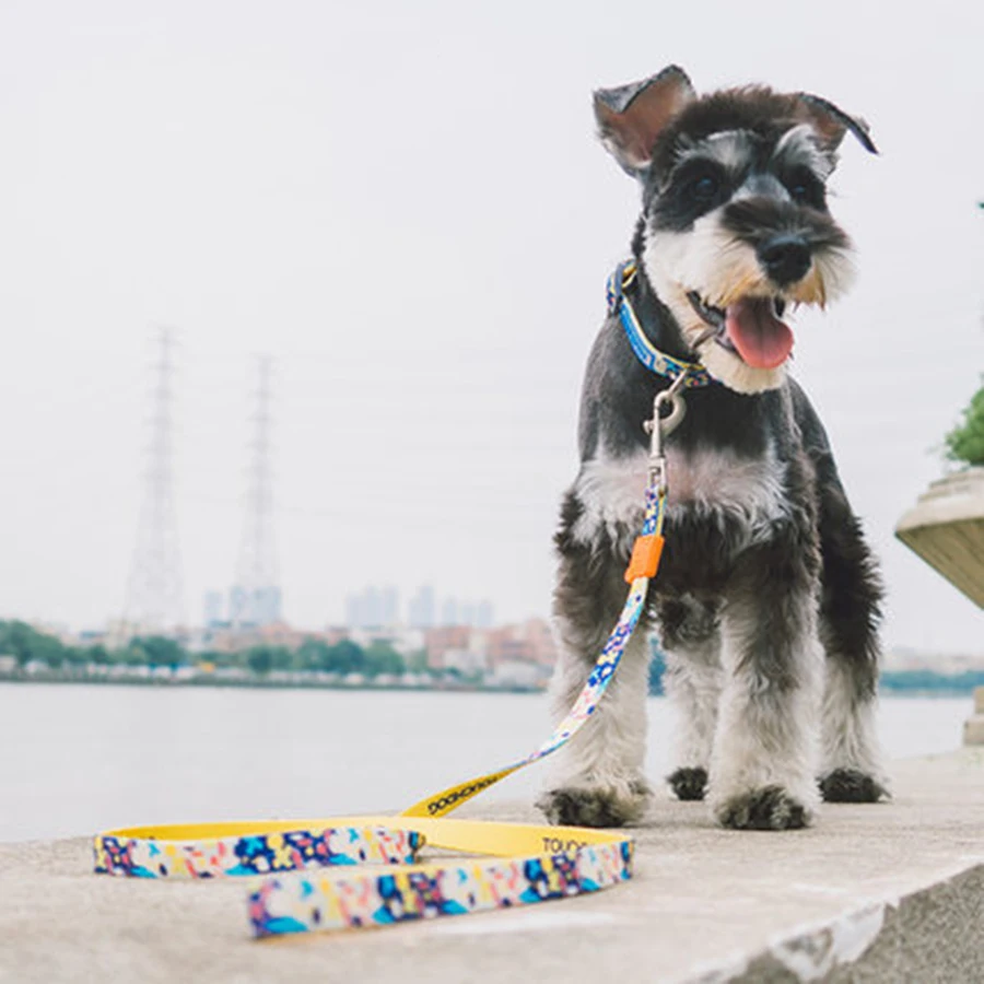 Поводок для бега собаки кожаный поводок собак без тяги нейлоновый крепкий ремни