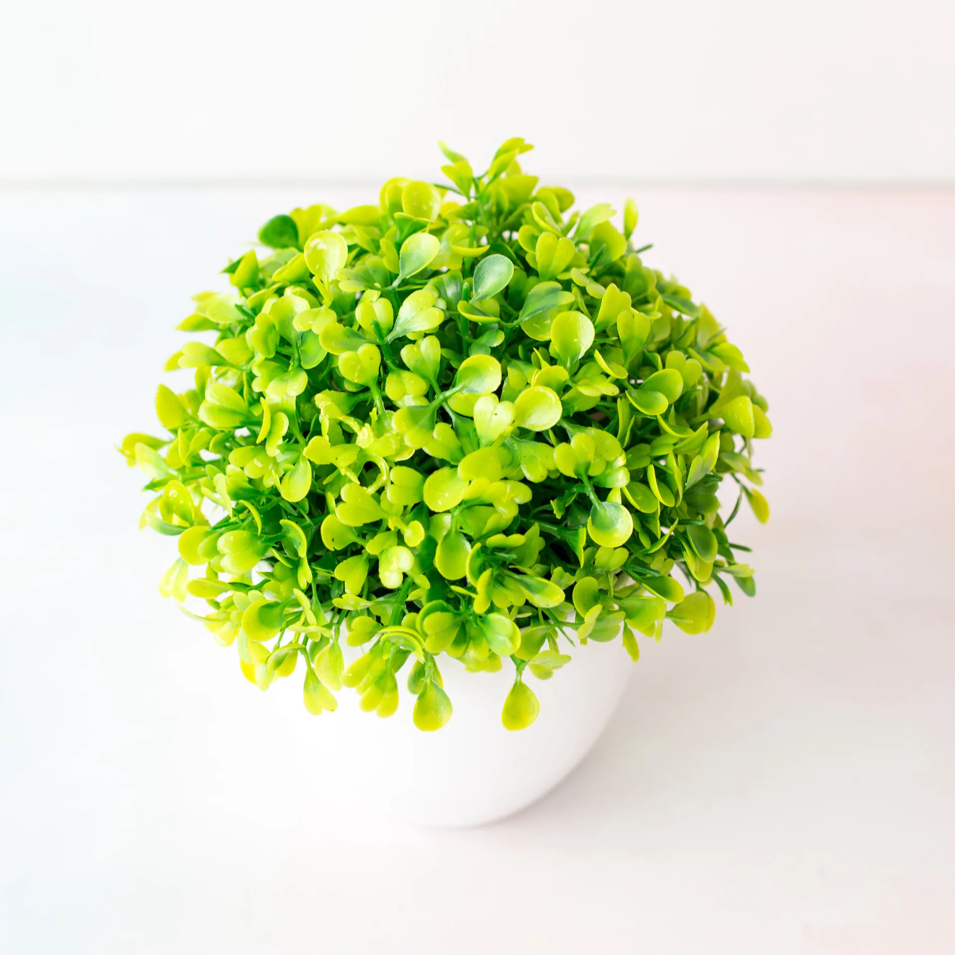 Искусственные зеленые растения бонсай в горшке 15x16 см|Искусственные растения| |