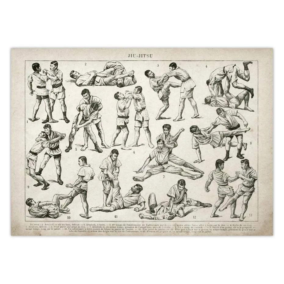 Печать на холсте картина Jiu Jitsu (джиу джицу) Wall Art плакат борьба техника Модульная