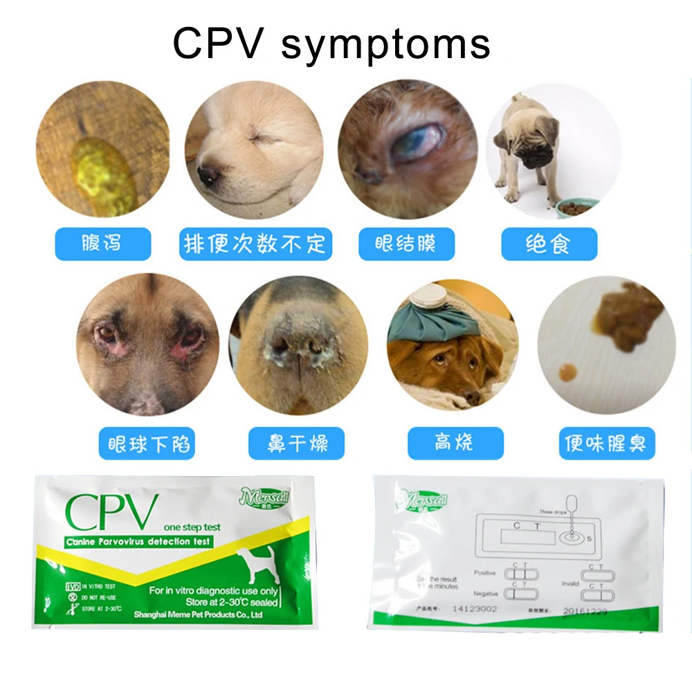 Палочки бумажные CDV/CPV для собак тестовые палочки домашнего обнаружения