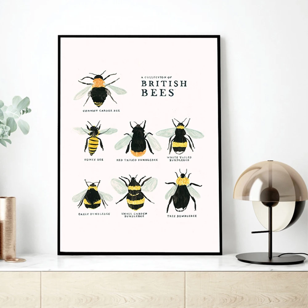 

Types Of Bee Prints Picture Natural Poster Insects Honey British Bee Wall Art Canvas Painting Diagram Wall Decor for Living Room