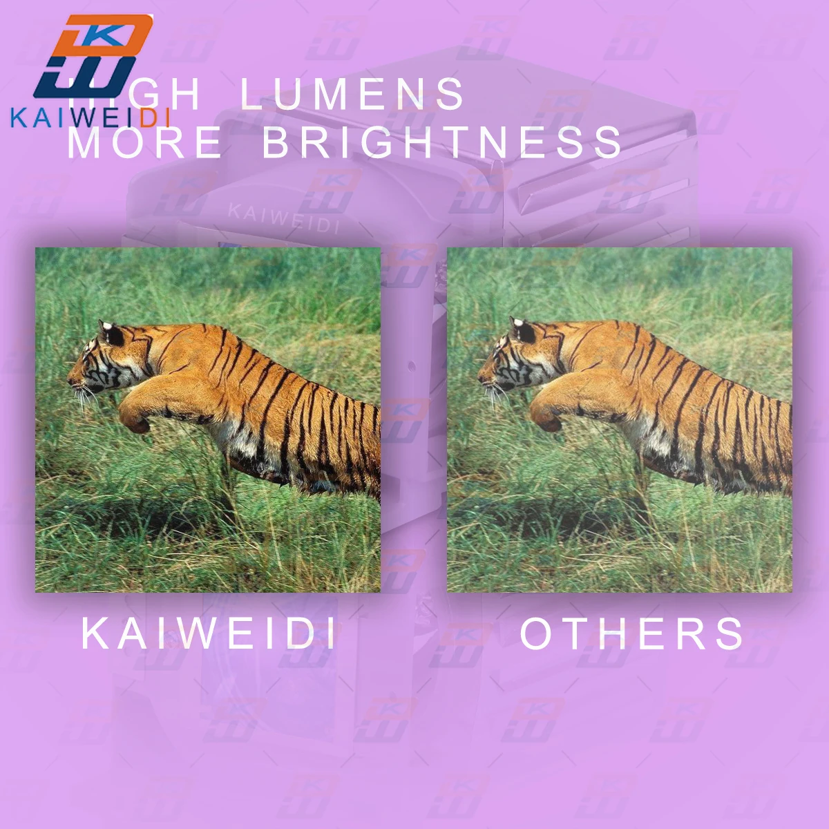 Рисунок 5 - Лампа для проектора HITACHI