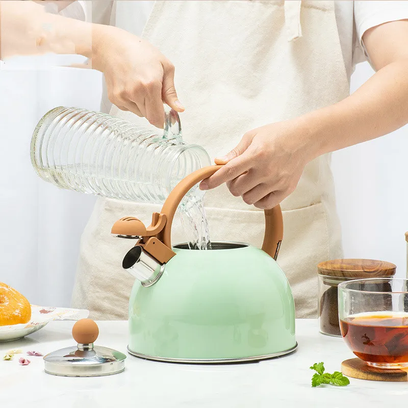 Чайник бытовые предметы подходит для индукционной плиты газовая плита свист