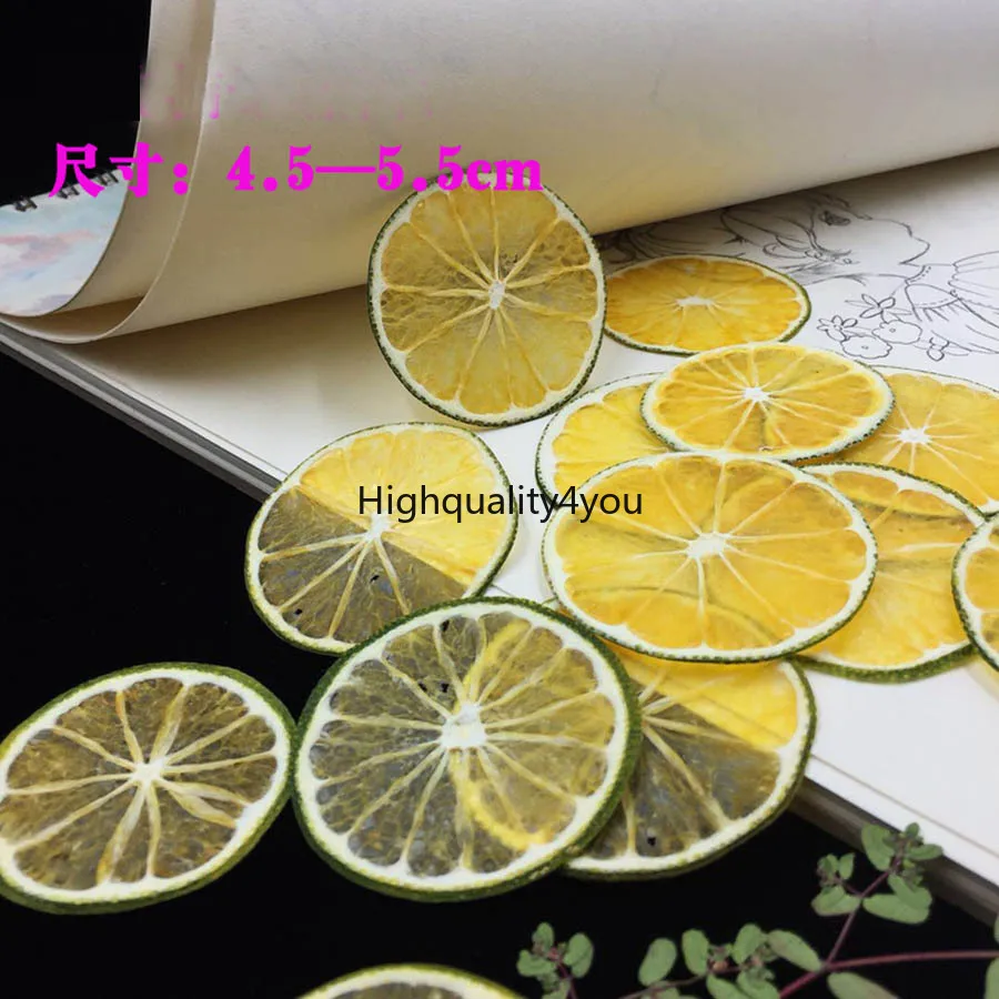 10pcs dried pressed fruit green skin orange slices plant herbarium for jewelry photo frame phone case craft diy making accessory free global shipping
