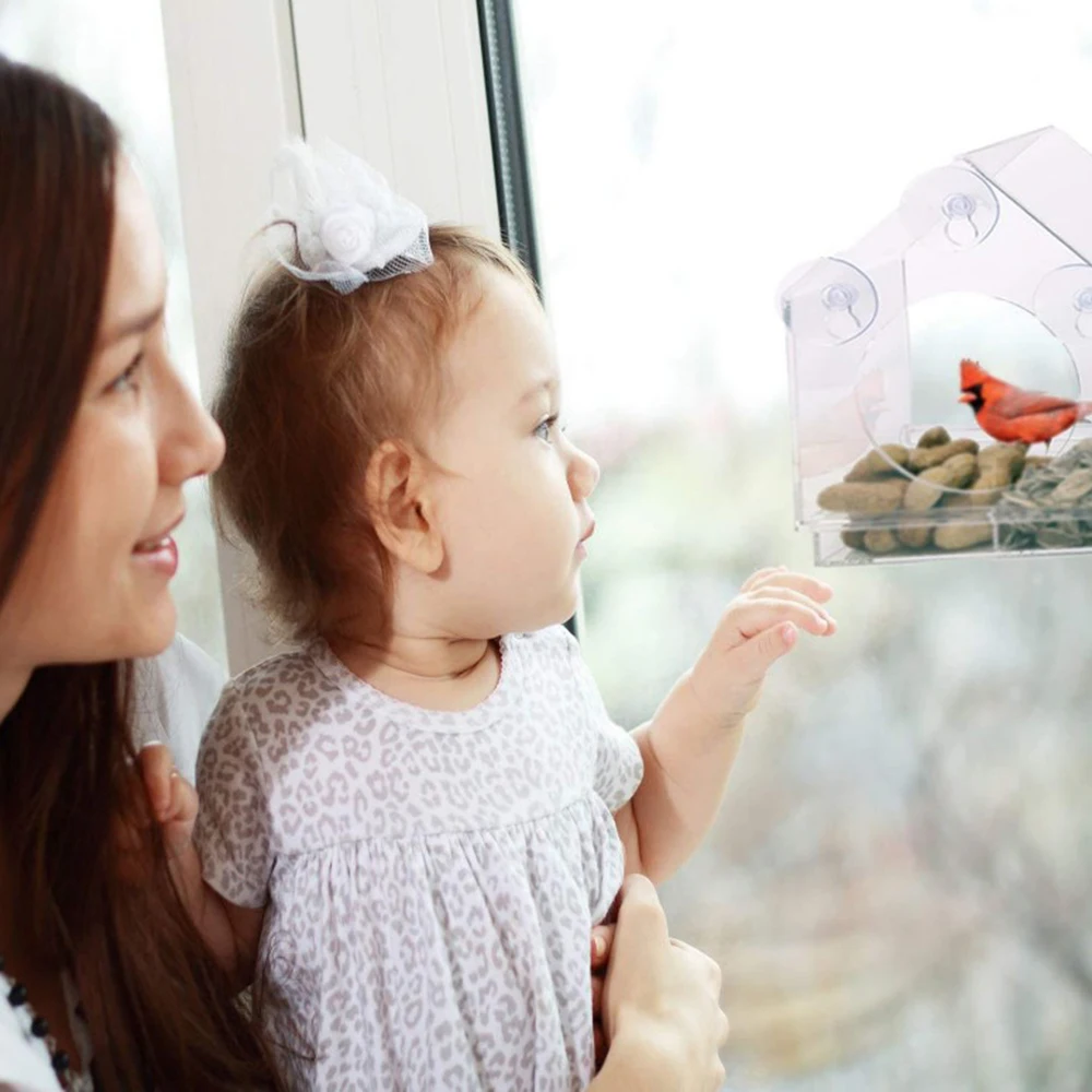 

Acrylic Anti-squirrel Transparent Window Bird Feeder With Powerful Suction Cup And Detachable Sliding Seed Tray