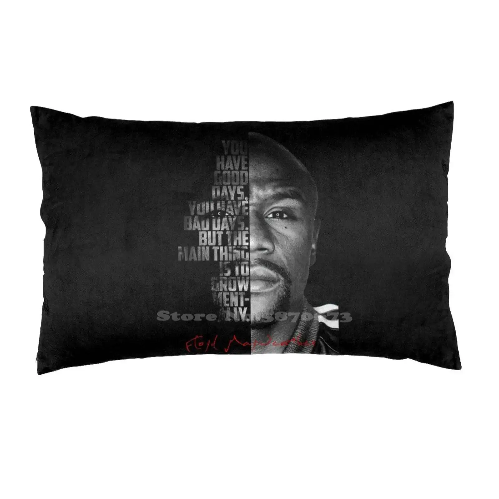 Чехлы для подушек с черными и белыми цитатами. Флойд Мэйвезер - деньги, бокс, боксер, спортивная легенда, богатый.