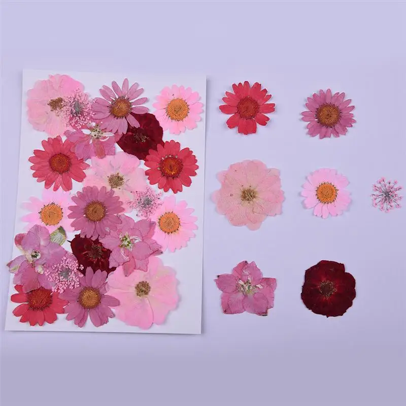 

20pcs DIY Pressed Dried Flowers Epoxy Flower Materials Multiple Real Dried Flowers Plants Specimen (Red, 7 Flowers)
