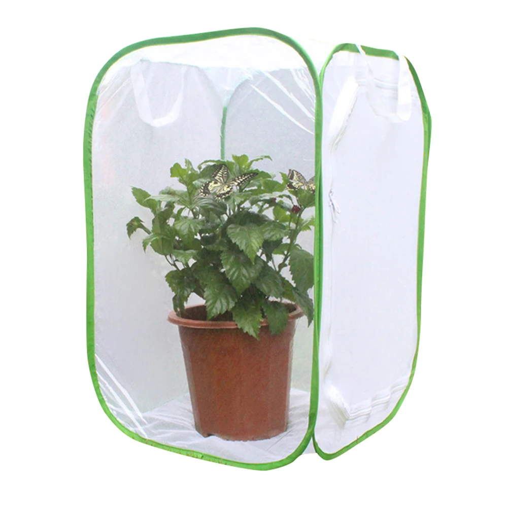 Набор для насекомых-бабочек оригинальный набор обучения естественным наукам