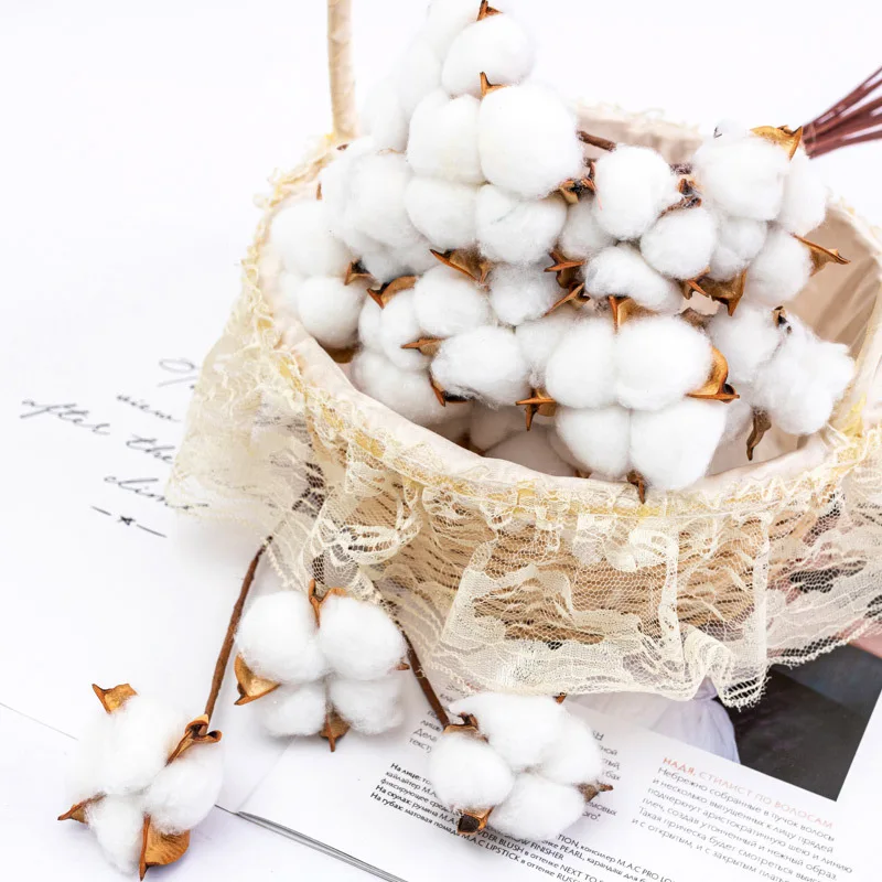 

Natural Dried Cotton Flowers Artificial Plant for Wedding Party Home Decorations Colorful Kapok DIY Craft Photo Backdrop