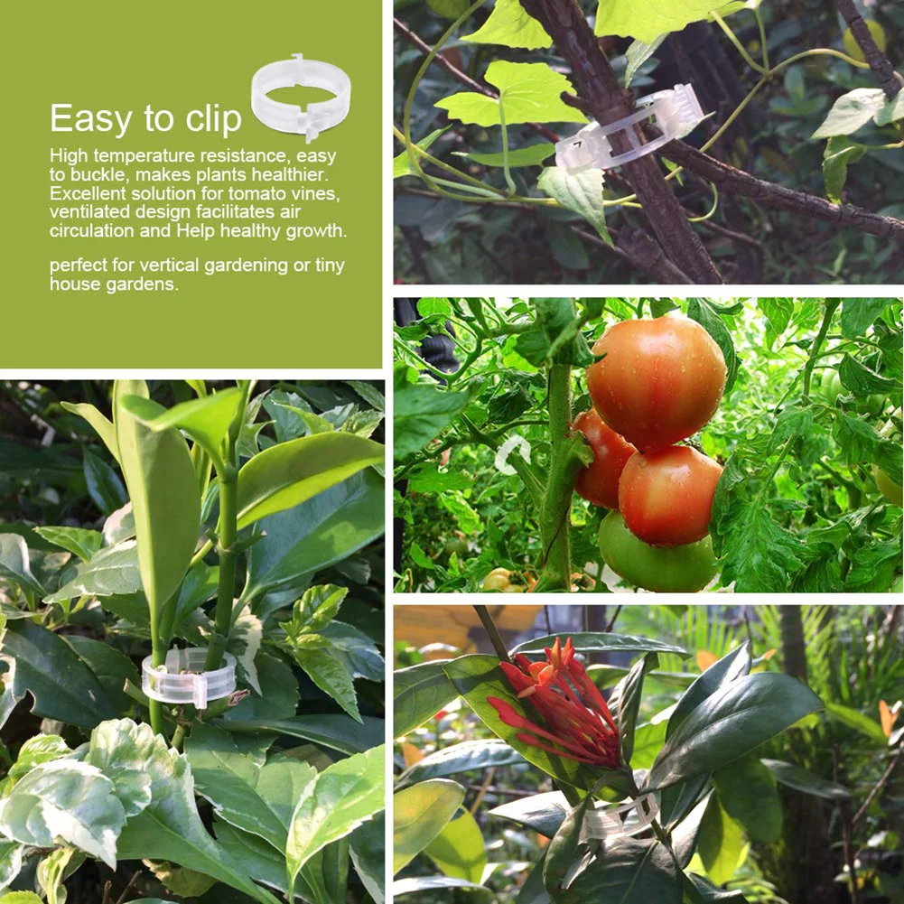 

50pcs Reusable 2.5cm Plastic Plant Support Clips clamps For Plants Hanging Vine Garden Greenhouse Vegetables Tomatoes Clips