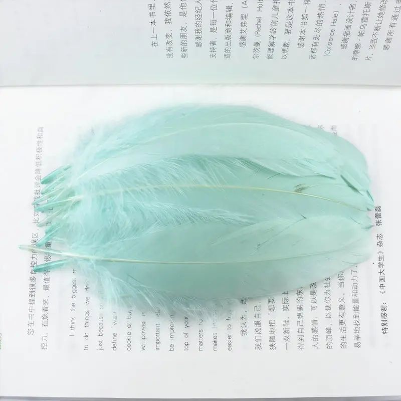 Mint Green Высокое качество,, натуральные гусиные перья для рукоделия, для изготовления ювелирных изделий, 13-18 см, сделай сам, для рождественской вечеринки, перо, домашний Свадебный декор - Цвет: Mint Green