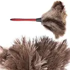 Щетка для пыли из страусиного дерева, 40 см, с ручкой из натурального дерева